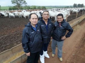 Buntoro Hasan (TUM), Handi Tanusaputra (Kadila Lestari Jaya) and Achmad Sadat (Agrisatwa) inspect a feedlot in Brazil.