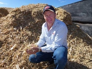 Lallemand's Trevor Schoorl says ease of harvest and storage made corn 'snaplage' very appealing