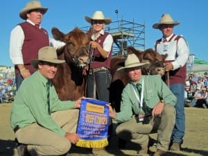 Beef 2015 Interbreed_female_Beef 2012