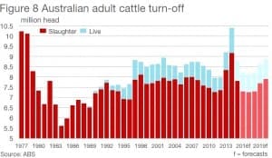 Cattle turnoff 2014