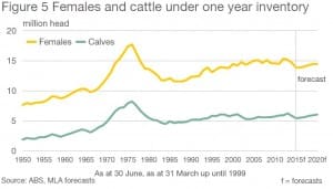 Female cow numbers 2014