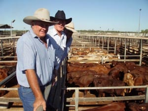 Trevor & Mark Hay, Palmtree Grazing Co, Taroom, with Livestock Agent Graeme McAdam, G.D.L Taroom, at Tuesday’s Roma Store Sale. The Hay family sold Santa-cross steers to 296c/kg for 288kg to return $854/head.