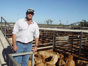Ben (pictured) & Kylie Hindle, Larnook, Mungallala, sold Charolais steers to 260c/kg for 337kg to return $877/head at Tuesday’s Roma Store Sale. 