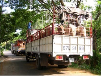 Legal imports on their way to Ho Chi Minh City after purchase and processing at the official border crossing.