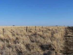 The existing boundary fence was in a serious state of disrepair.