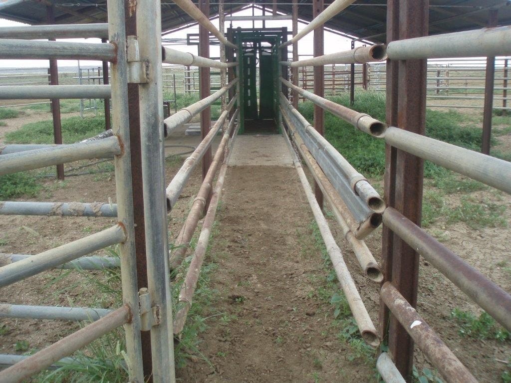 The weaner rail dropped down and out of the way when handling adult cattle.