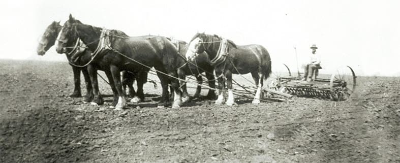 Coolmunro overseer pictured with a team of four, planting in 1922