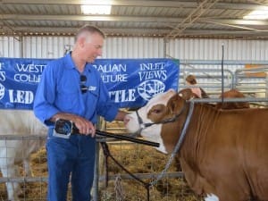 JackNixon at Woolorama 2015