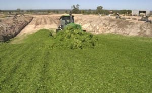 silage pit