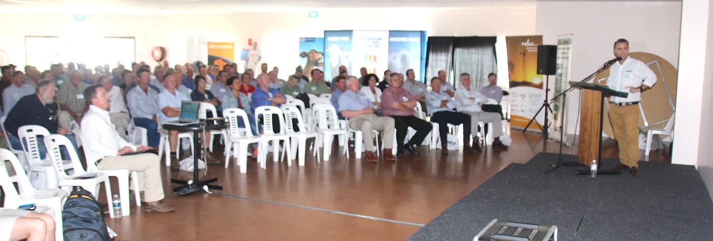 More than 250 cattle producers and feeders from across eastern Australia attended a Riverina Australia beef industry information day in Warwick yesterday. 