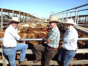 Steven Goodhew, PJH Livestock & Property, Roma, with John Martyn, Canowindra, Roma, and PJH’s Tracey Saunders at Tuesday’s Roma Store Sale. The Martyn family sold Simmental-cross steers to 253c/kg for 470kg to return $1191/head.