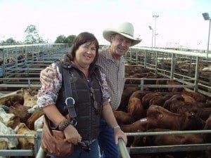 A full panel of feedlot buyers were operating, but a plainer yarding of heavier steers resulted in heavy weight yearling steers falling in price. Picture: Martin Bunyard.