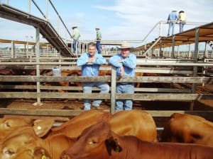 Dan Cameron and Jon Warby, Santos Pastoral, sold Droughtmaster steers to 266c/kg for 465kg to return $1240/head at Tuesday’s Roma Store Sale. Picture: Martin Bunyard.