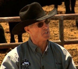 Renowned US cattle vet and animal behaviourist, Dr Tom Noffsinger