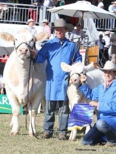 Champion Of Champions Female winner, Crathes Estella 32 (P) and heifer calf, Elite Estella Glen Waldron and Kim Groner, Elite Charolais, ‘Murwollock', Meandarra. 