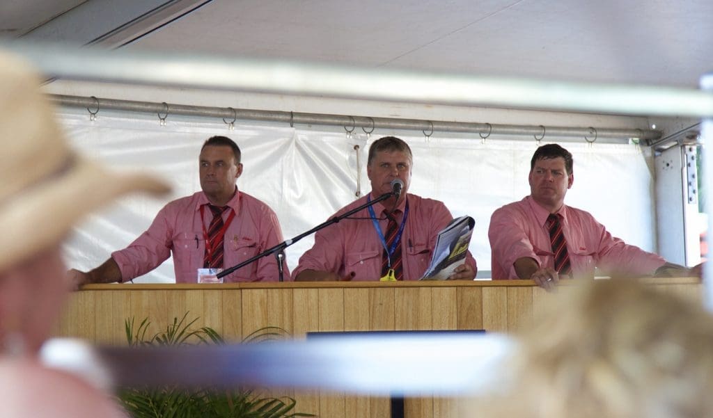 Elders auctioneers in action.