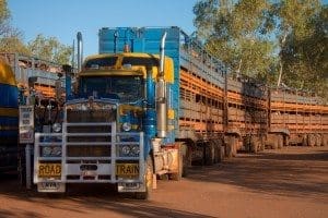 he new TRANSIT tool developed by CSIRO is identifying ways to cut the costs of transporting cattle—offering solutions that would reduce the vast distances travelled and the numbers of trucks on the road. The tool will be applied beyond the livestock industry for use more broadly in the agricultural and logistics sectors. Image: Frans de Wit/Flickr CC BY-NC-ND (http://ow.ly/MmyIH ) https://blogs.csiro.au/ecos/modelling-a-more-efficient-future-for-cattle-transport/