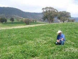 Improved pastures on 30,000ha Glenrock Station, east of Scone 