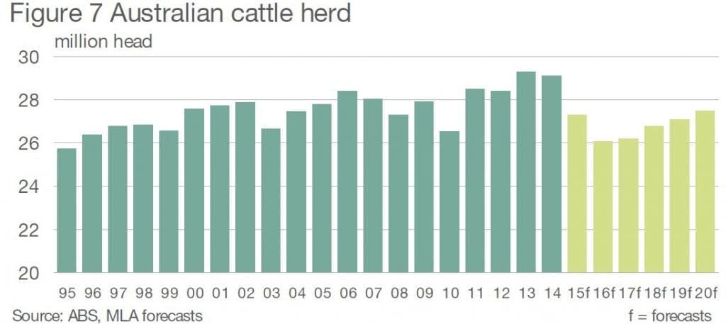 Cattle herd Jul 15