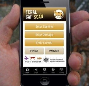 Feral cat app