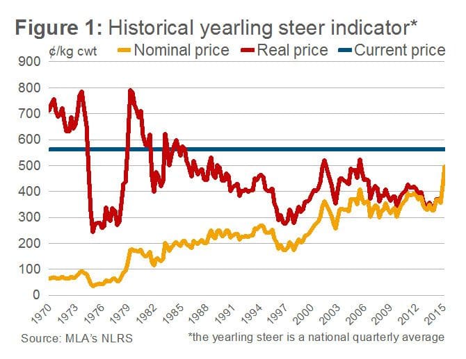 Historical Yearling Steer Prices July 2015