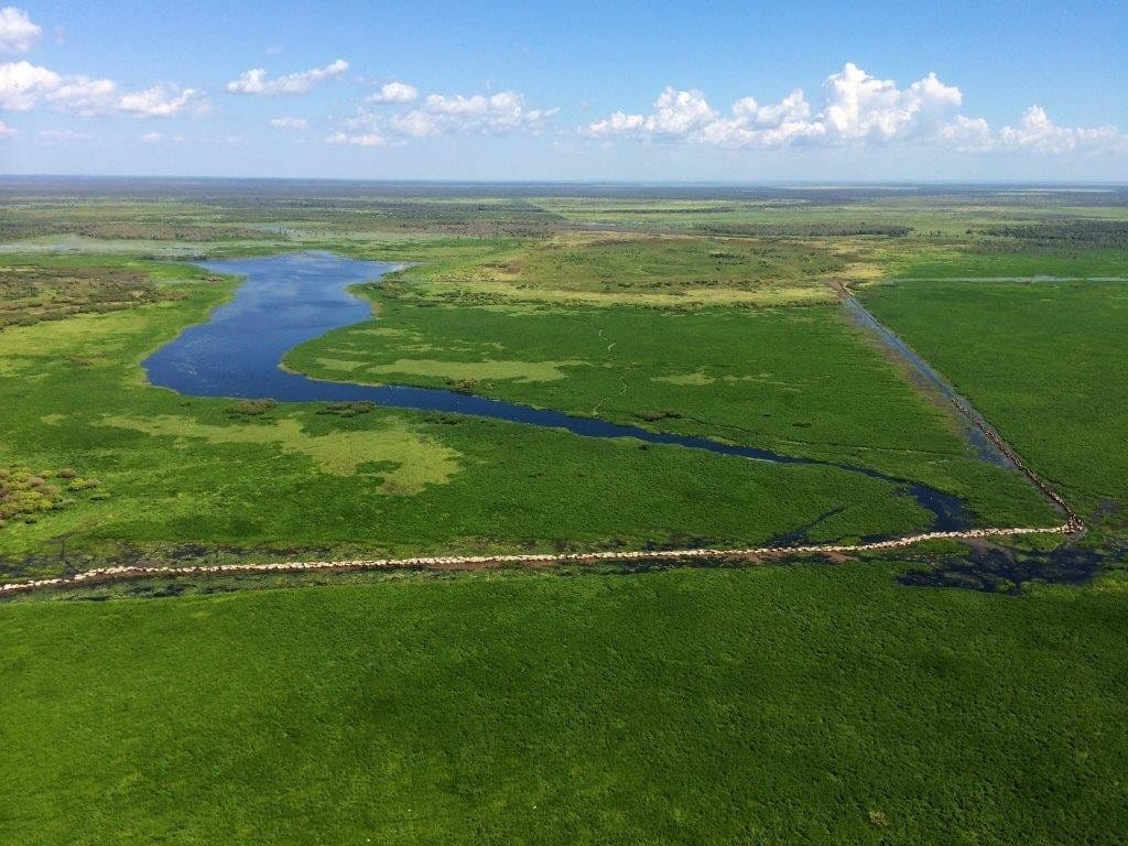 Wetlands on AA Co's Labelle Downs from the air 