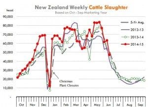 NZ weekly cattle slaughter Jul 15