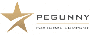 Pegunny logo