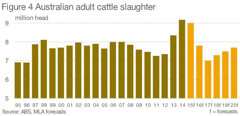 Cattle kill 2015 and beyond
