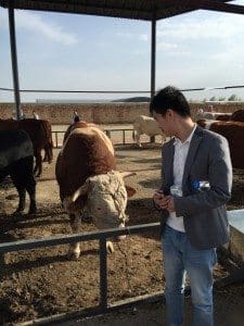 Chuck Yang, Austrade BDM at the cattle conference field trip.