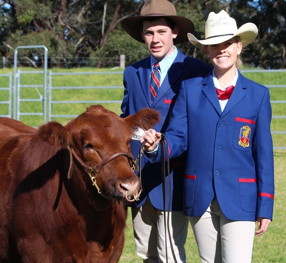 Downland's College students Anna Kemph and Paddy Wallis with this year's charity donation steer, Kakadu.