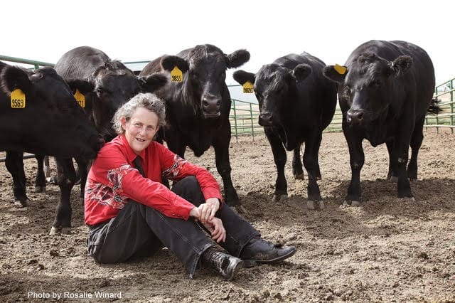 Dr Temple Grandin. Picture: Rosalie Winard