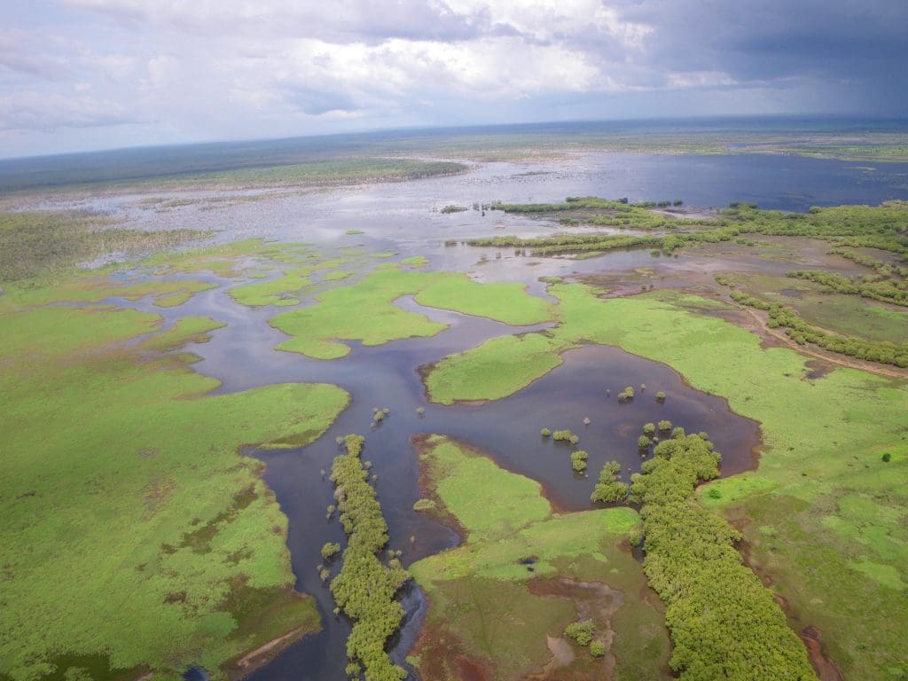 wetlands-nt-cattle-country-property