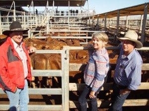Andrew & Madonna Douglas, Springfield, Mitchell, sold their steers through Elders’ David Phillips, Mitchell. Their Droughtmaster steers reached 334c/kg for 276kg to return $922/head at Tuesday’s Roma Store Sale.