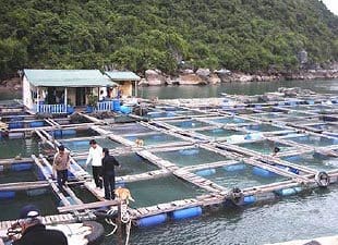 Asian aquaculture