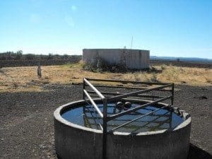 Waters and cultivation on Colomie, near Wallangra, NSW, bought by neighbours last week.