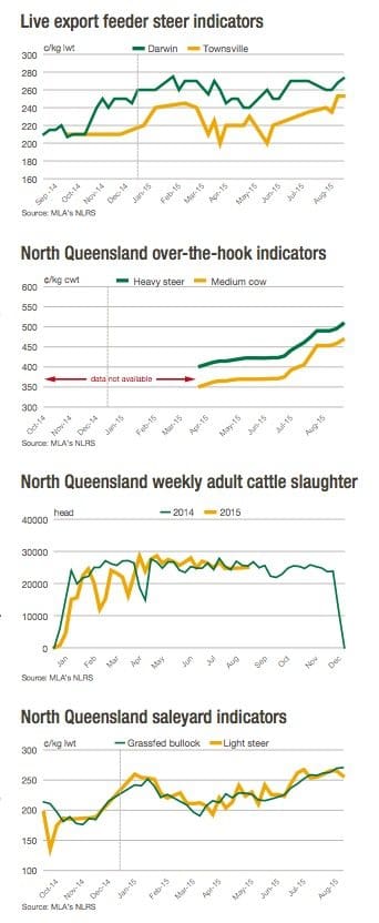 MLA northern beef graphs Sep 2015