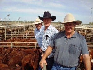 Trevor and Mark Hay, Palmtree Grazing Co, Palmtree, Taroom, with GDL Livestock Agent, Graeme McAdam, Taroom. The Hay family’s Santa-cross steers sold to 322c/kg for 323kg to return $1039/head at Tuesday’s Roma Store Sale. Picture: Martin Bunyard