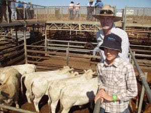 Michael and Sam Sullivan, Riverglen, Glenmorgan, sold Charolais steers to 302c/kg for 351kg to return $1061/head at Tuesday’s Roma Store Sale.