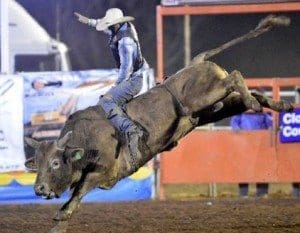 2015-10-30-bucking-bull