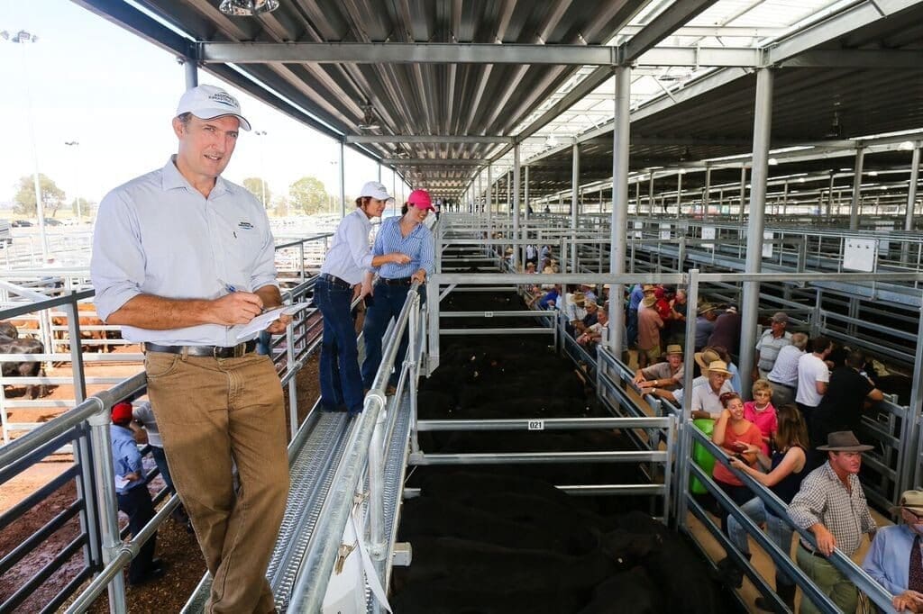 Ted Parish in the RIPL yards at Barnawartha