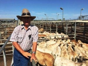 Barry York, Warratah, Surat, sold Charbray steers to 296c/kg for 560kg to return $1660/head at Tuesday’s Roma Store Sale. Picture: Martin Bunyard.
