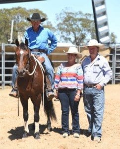 Mark Buttsworth of Kingaroy atop the $20,000 top-priced stallion, Almora Pop A Top, with vendors Sal and James Morse, Wongalee, Molong, NSW. Picture: Sarah Coulton, Coulton's Country Photography.