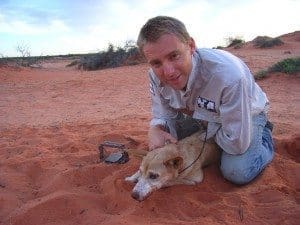 Dr Ben Allan with a wild dog trapped for research in sandhill country