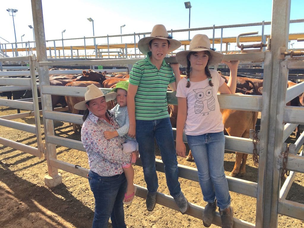 Kylie, Evie, Darcy, and Sam Douglas, Douglas Cattle Co, Verniew, Mitchell, sold Santa-cross heifers to 348c/kg for 341kg to return $1187/head at Tuesday’s Roma Store Sale.