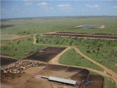Willesley and Laurel Hills includes a 5000 head feed with capacity for expansion and good cattle handling facilities