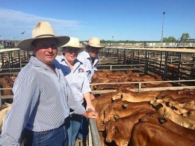Brett Warne, Jembrae Droughtmasters, Arcadia Valley, with PJH Livestock’s Tracey Saunders and PJH Principle, Steven Goodhew. The Warne family sold Droughtmaster steers to 330c/kg for 380kg to return $1256/head at Tuesday’s Roma Store Sale. Picture: Martin Bunyard.