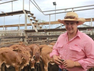 Brenton Miller, Allambie, Wandoan, sold Brahman steers to 350c/kg for 189kg to return $661/head at Tuesday’s Roma Store Sale.