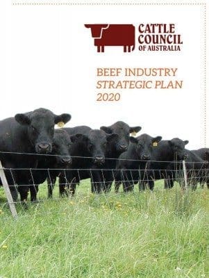 Beef Industry Strategic Plan 2020
