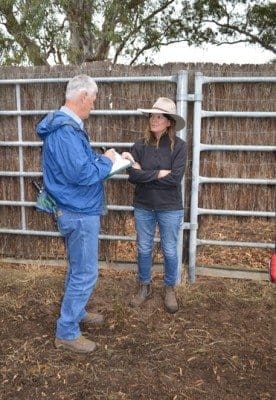 Chief judge Bob Dent records details from Boonaroo's Jodie Foster